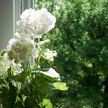 Casanova - San Giusto Apartmán Terst